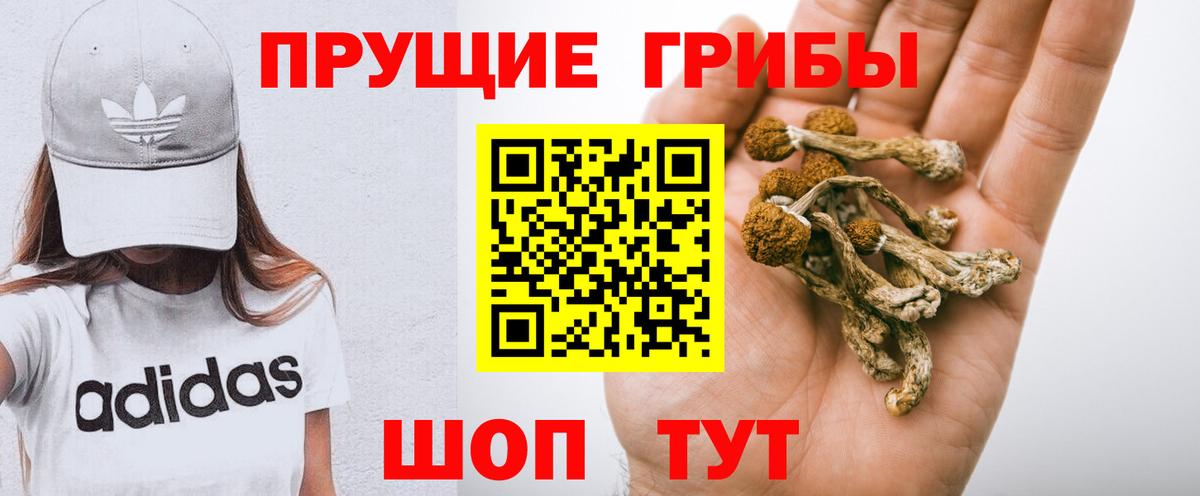 цена   Вход с VPN  Псилоцибиновые грибы Psilocybine cubensis  Нижневартовск  Галлюциногенные грибы прущие грибы 