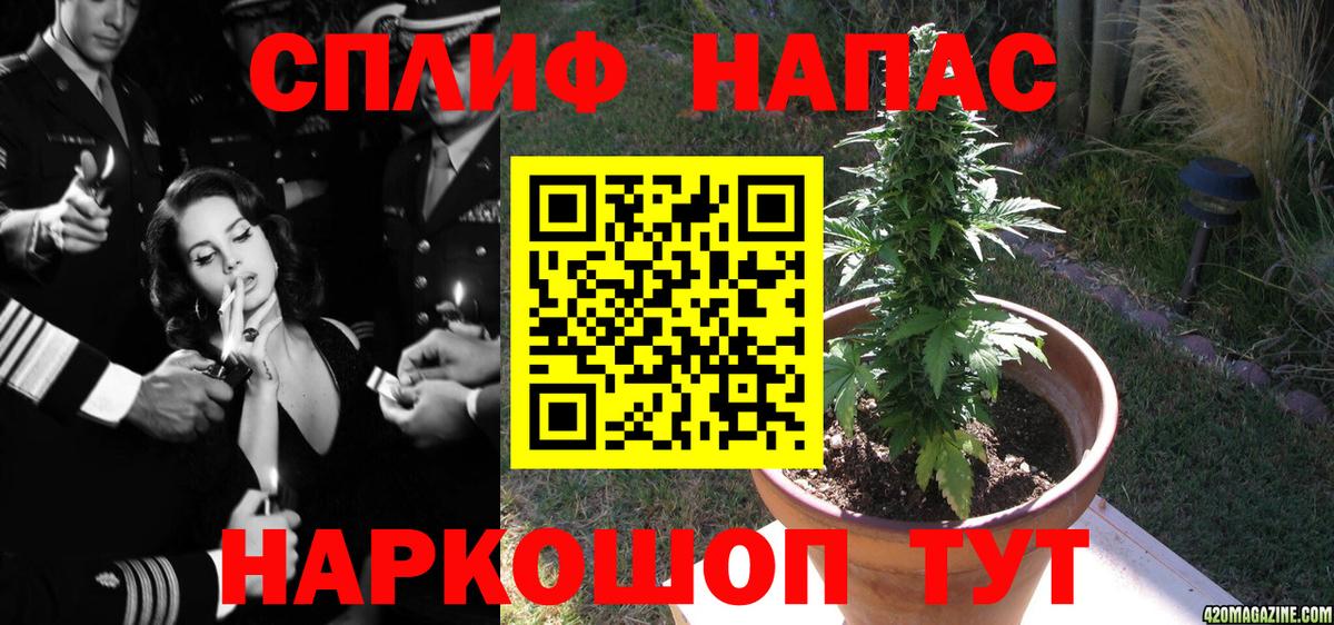 Канабис конопля  Вход с VPN  Бошки марихуана сатива  Каннабис марихуана  Нижневартовск 